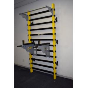 gym wall 1 1